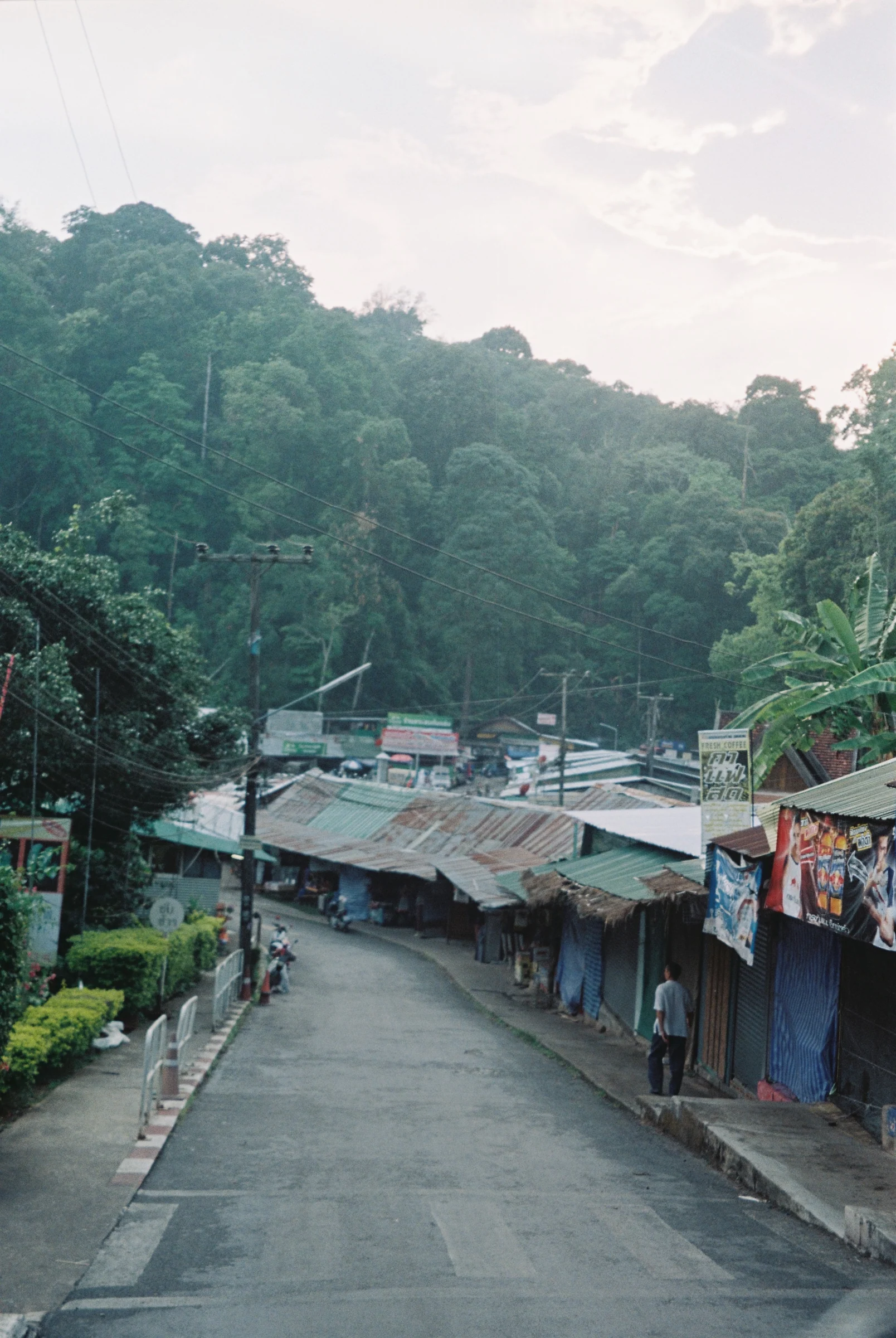 A vertical film photograph of a hillside village road surrounded by tropical trees in Thailand.
